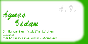 agnes vidam business card